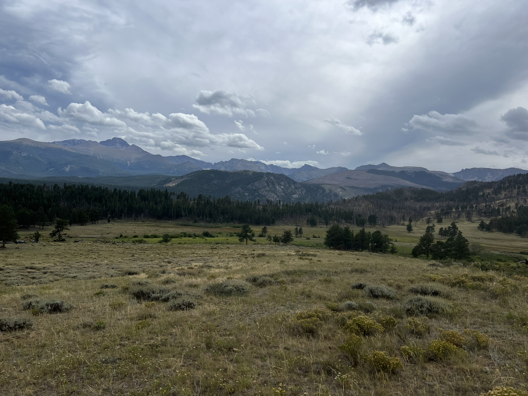 Valley Meadow